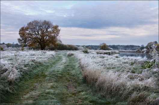 / On the first frost /