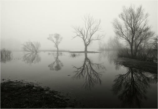 Reflections of the spill