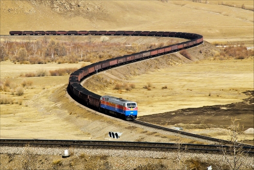 Coal snake