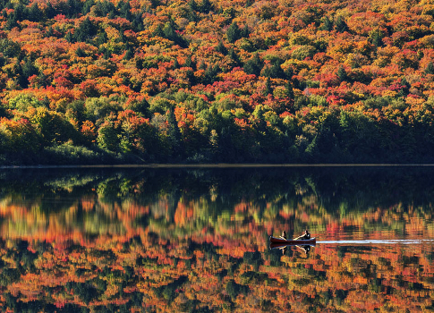 Swim in the Fall