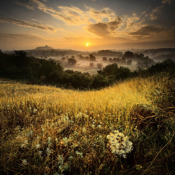 Early in the morning