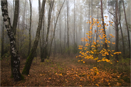 October