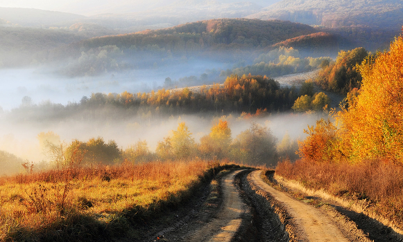 The road to autumn