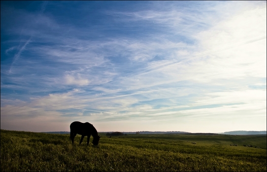 On the horse, goats and clouds ..