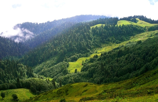 Mountain Trail