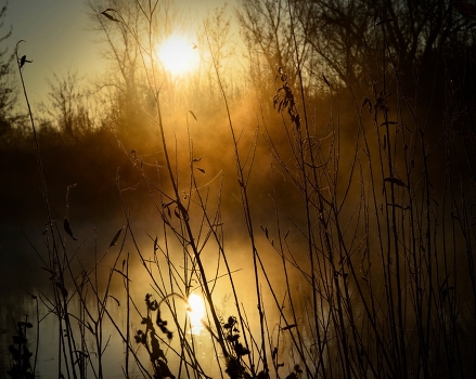 Novembernebel