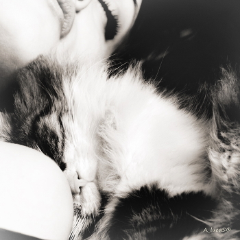 sweet dreams