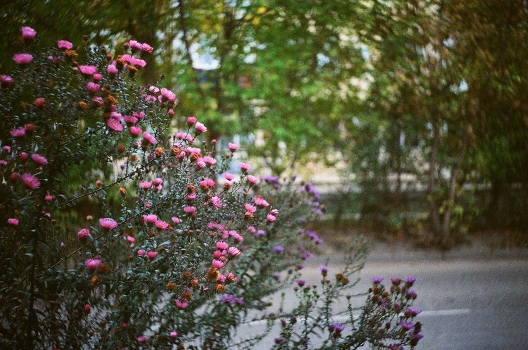 Autumn
