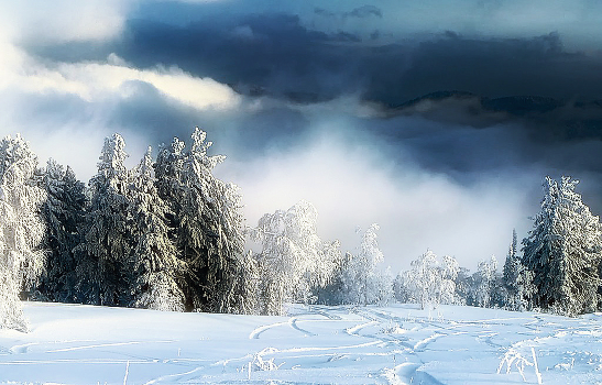 The painting in the snow