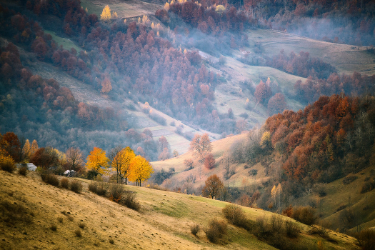 Autumn Palette