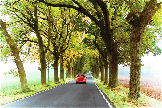 The road to the island of Rügen (Germany)