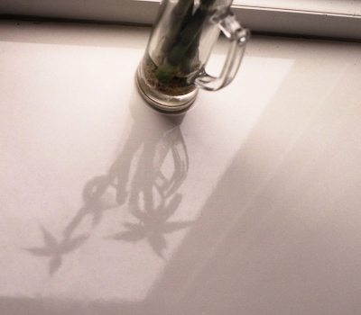 Reflections 2002