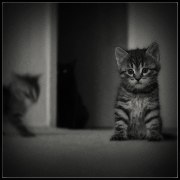 Family Portrait