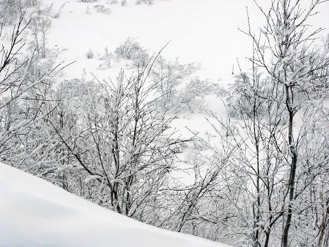 White. Winter in Murmansk.