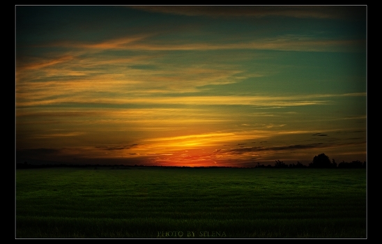 *-*sunset*-*