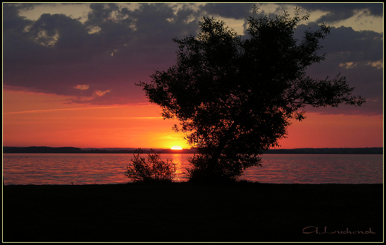 Red Sunset