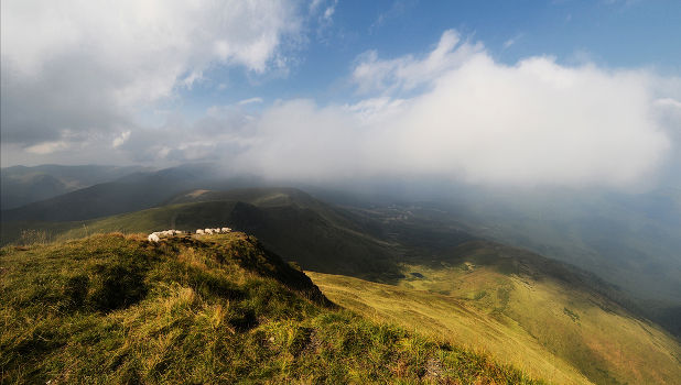 Sheep and Cloud ... )