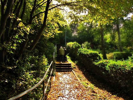 Autumn, autumn ...