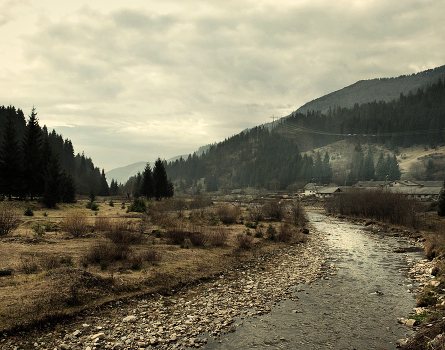 Carpathian River 2
