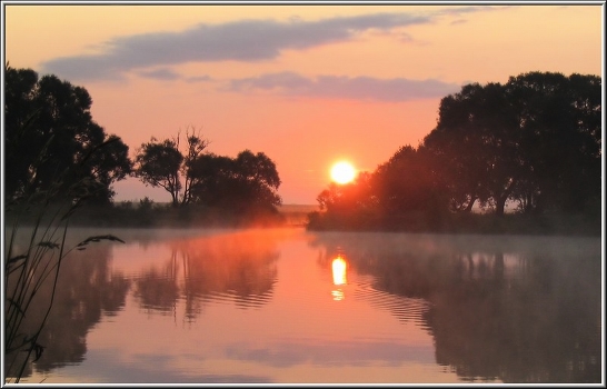 Pink Dawn