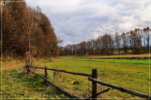 Country Landscape