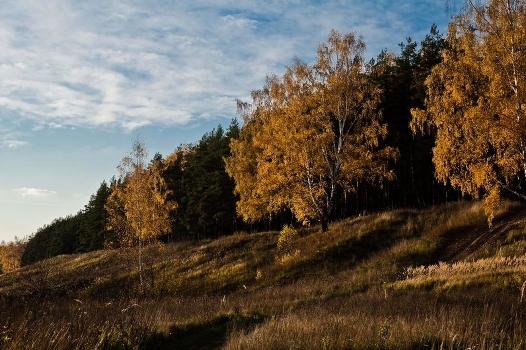 At sunset, Autumn