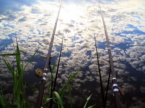 Catching noctilucent clouds