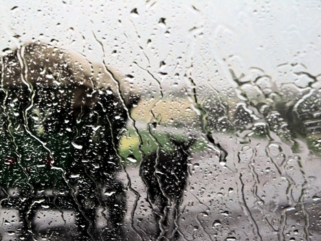 Outside the window