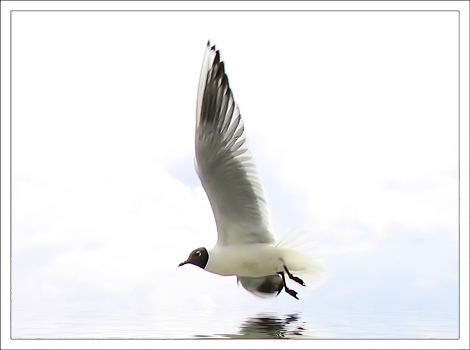 Fly-by