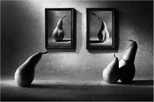 The exhibition