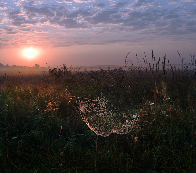 Semkov Meadow