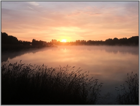 Morgendämmerung