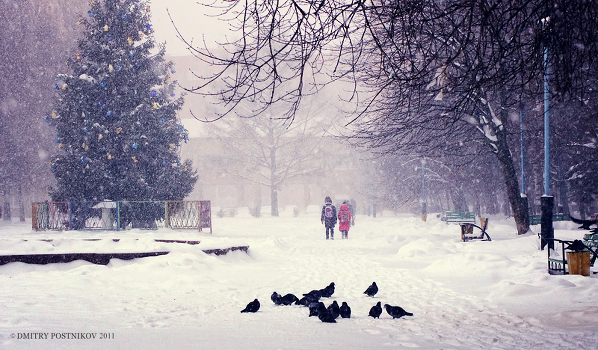 In der Stadt Dubna Blizzard.