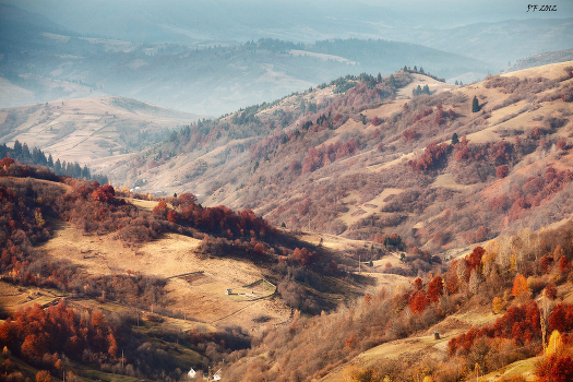 Carpathian November
