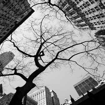 City