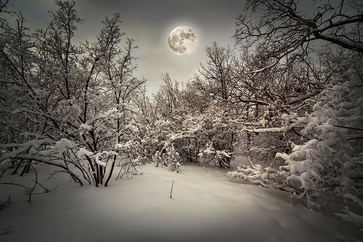 Winter