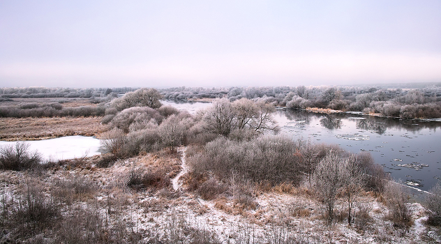 The January day at the Berezina