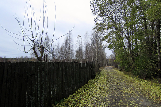 Autumnal melancholy.