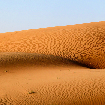 Exciting view of the desert, or the old vulgarian