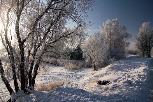 Winter afternoon