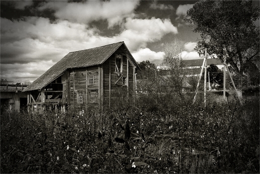 Die Mühle in Golshany