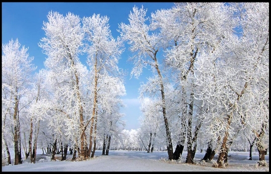 Tale of the winter