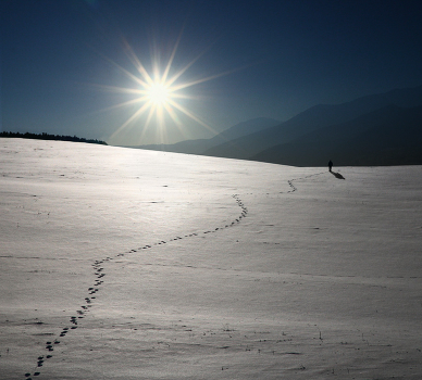 Far away ... ...