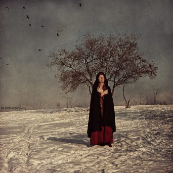 Cold Sun