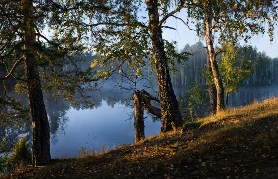 Savrasov wakes