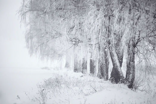 Winter is near Minsk