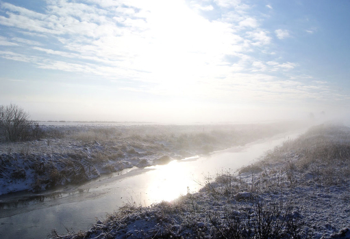 winter sun