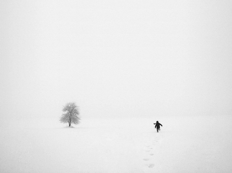 Wildbirne