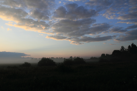 Summer Morning