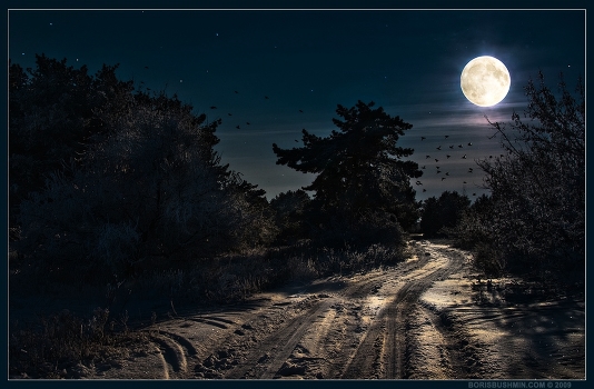 Winter's Tale